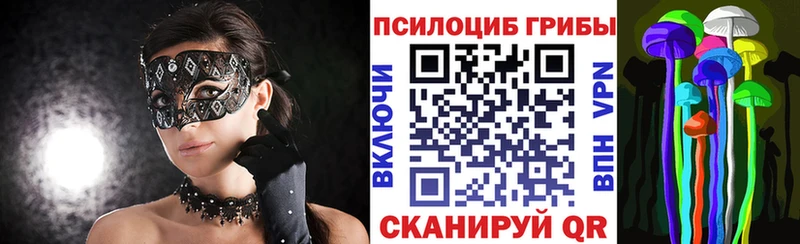 Псилоцибиновые грибы мицелий  Купить  Верхотурье 